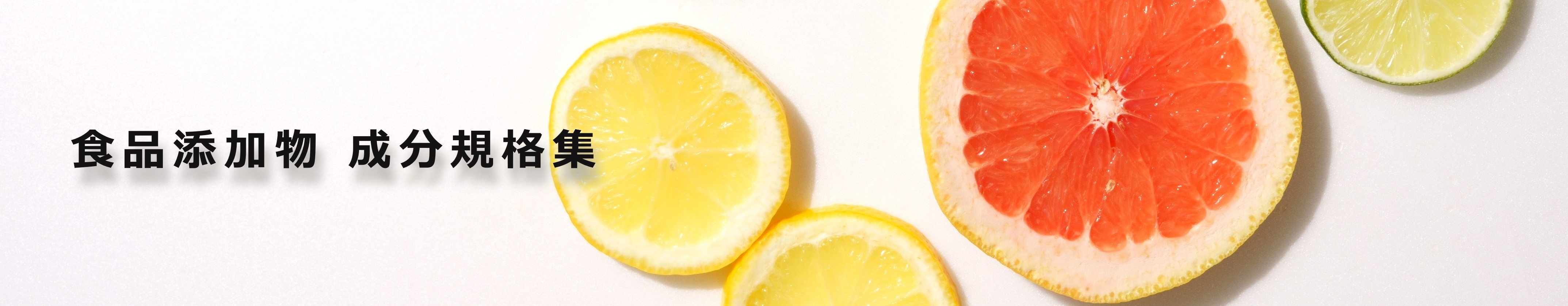 食品添加物 成分規格集